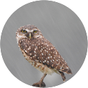 mindobarbet profile picture